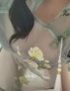 蜀山猫猫